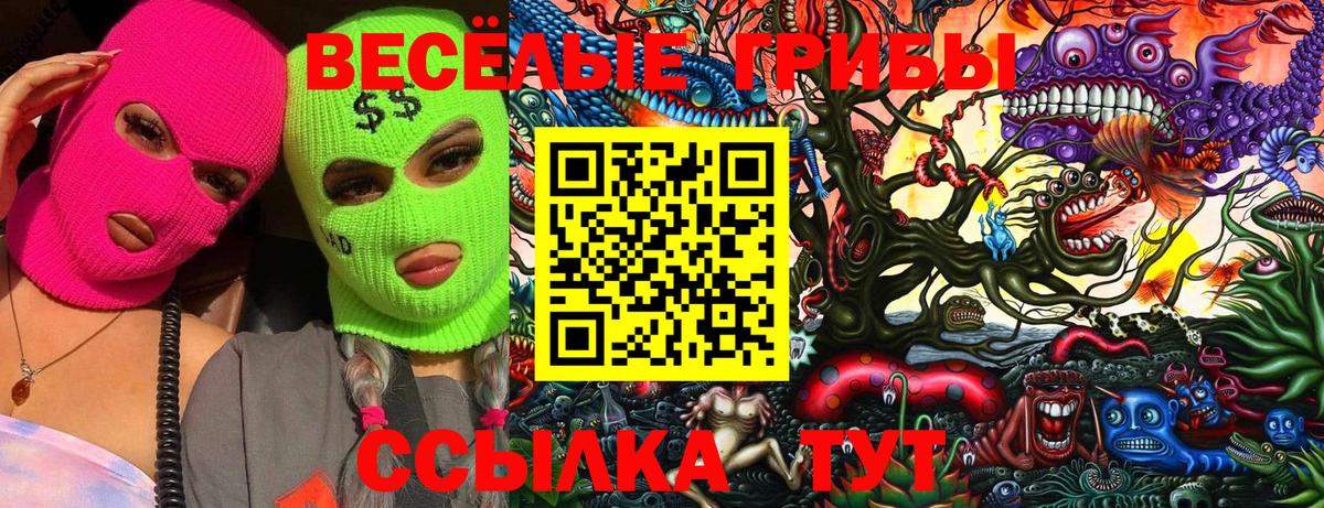 Галлюциногенные грибы мухоморы Гусев