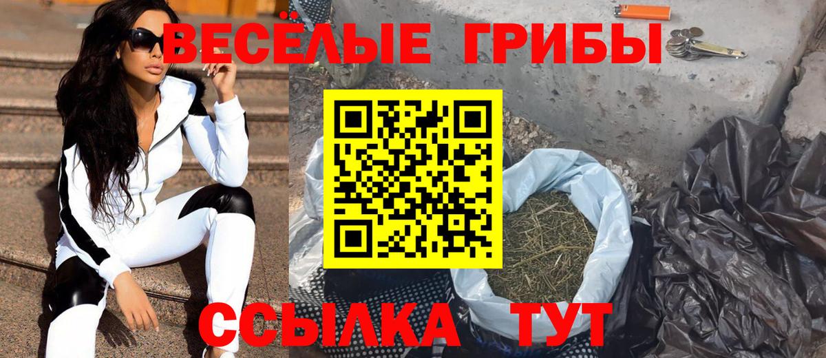 Гусев  Псилоцибиновые грибы Psilocybe  Псилоцибиновые грибы прущие грибы  где купить наркотик  Вход с VPN 